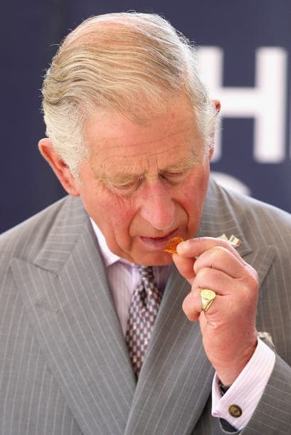 Y al parecer le gustó la comida, que hasta pidió otra probadita.