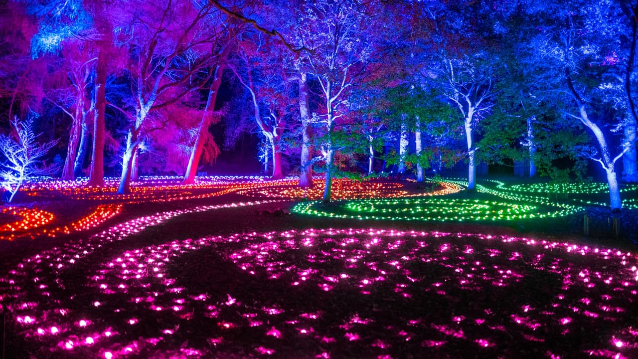 Un sendero iluminado, que se extiende por una milla, resalta la belleza natural de los espacios del jardín botánico, incluyendo 
<b>árboles, fuentes de agua y detalles arquitectónicos</b>.