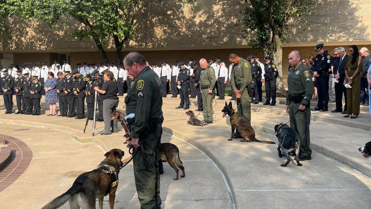 El 12 de junio del 2023,
<b>Aron, de 4 años de edad y casi 2 años en el servicio policial de Houston, murió en "un trágico accidente" </b>por agotamiento por calor.