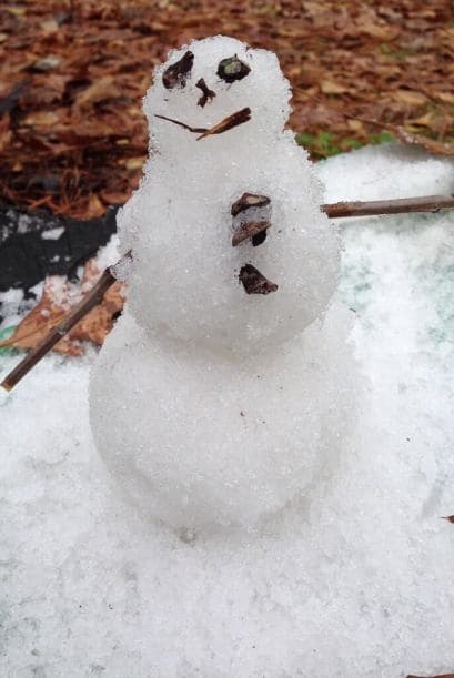 Los muñecos de nieve son la moda cuando la tierra se cubre de blanco. Y los podemos encontrar de todas formas, tamaños y con los más chistosos accesorios. (Fotografía tomada de Twitter).