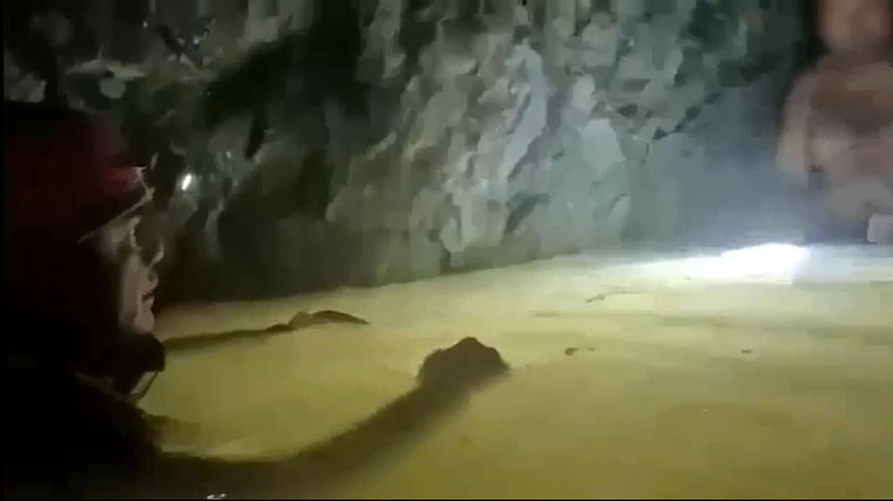 Video de un milagroso rescate: Así hallaron a un minero atrapado en México a casi 1,000 pies de profundidad