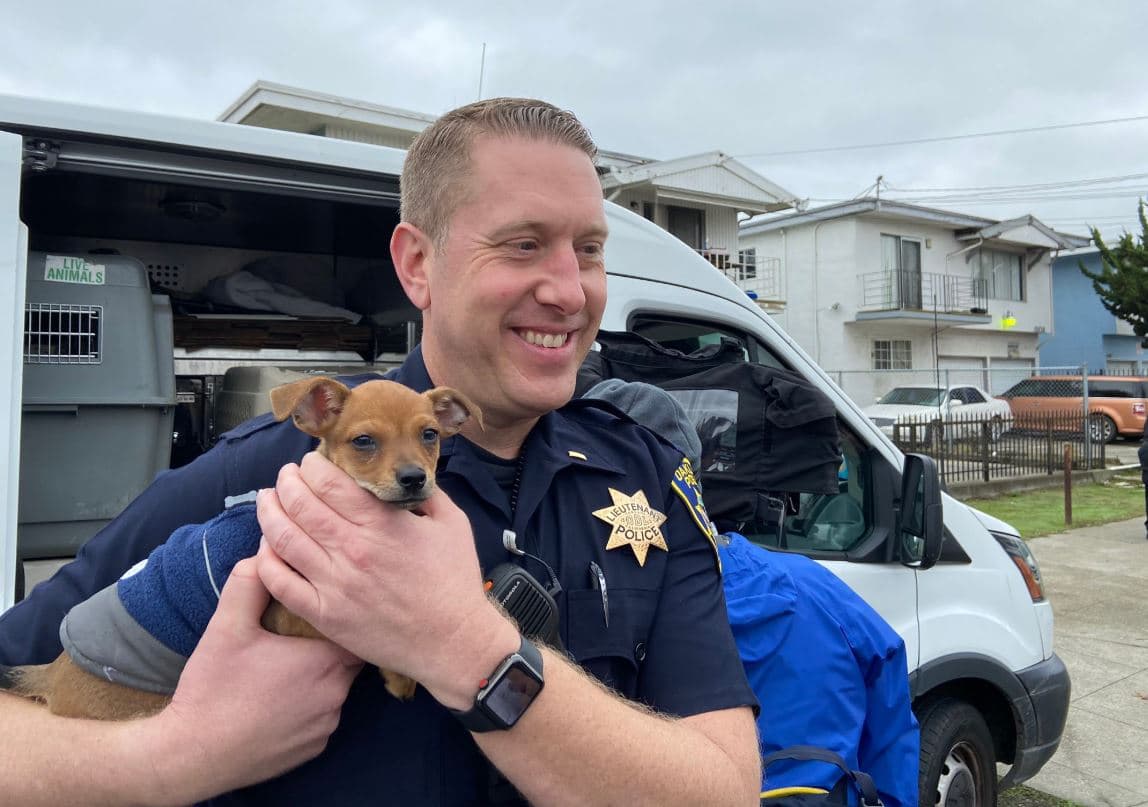 El Departamento de Policía de Oakland confirmó que han localizado una furgoneta de carga que fue robada en la ciudad de Fremont con más de 24 perros adentro.
<br>