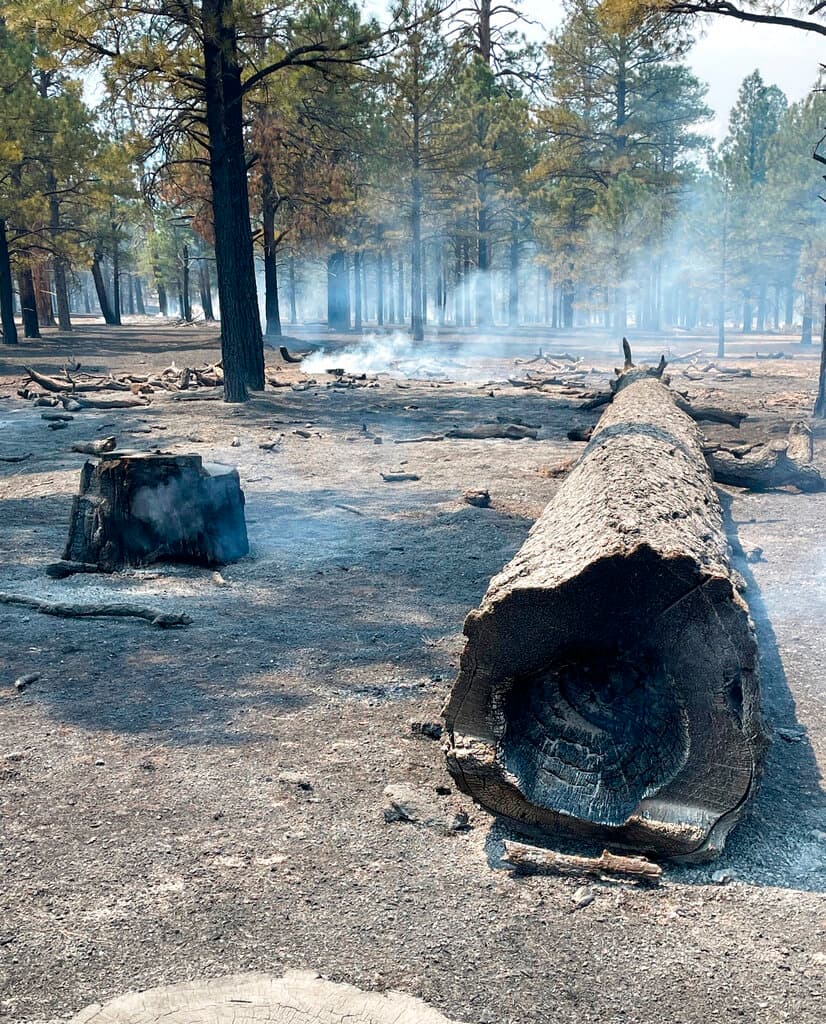 Hasta este domingo se habían registrado 20 incendios forestales en casi la mitad de los 33 condados de Nuevo México. El mayor de ellos abarcaba el domingo 84 millas cuadradas (217 kilómetros cuadrados) y estaba contenido en un 12%. Entretanto, en Arizona, las autoridades permitieron el regreso de algunos de los residentes que fueron obligados a evacuar a causa de un incendio forestal cerca de Flagstaff.