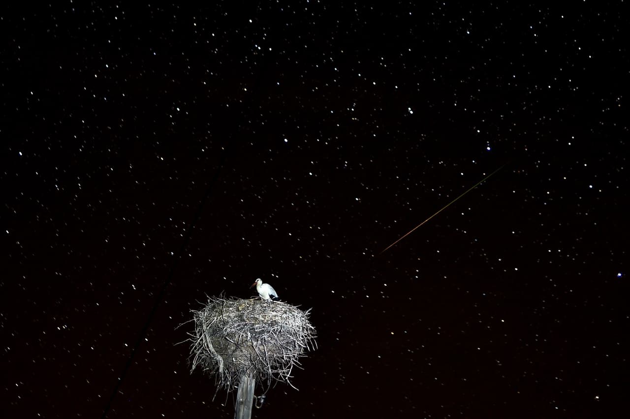 Un nido de aves en la villa de Yatskovichy, Bielorrusia, al fondo un meteoro de las Perseidas. 13 de agosto de 2018.