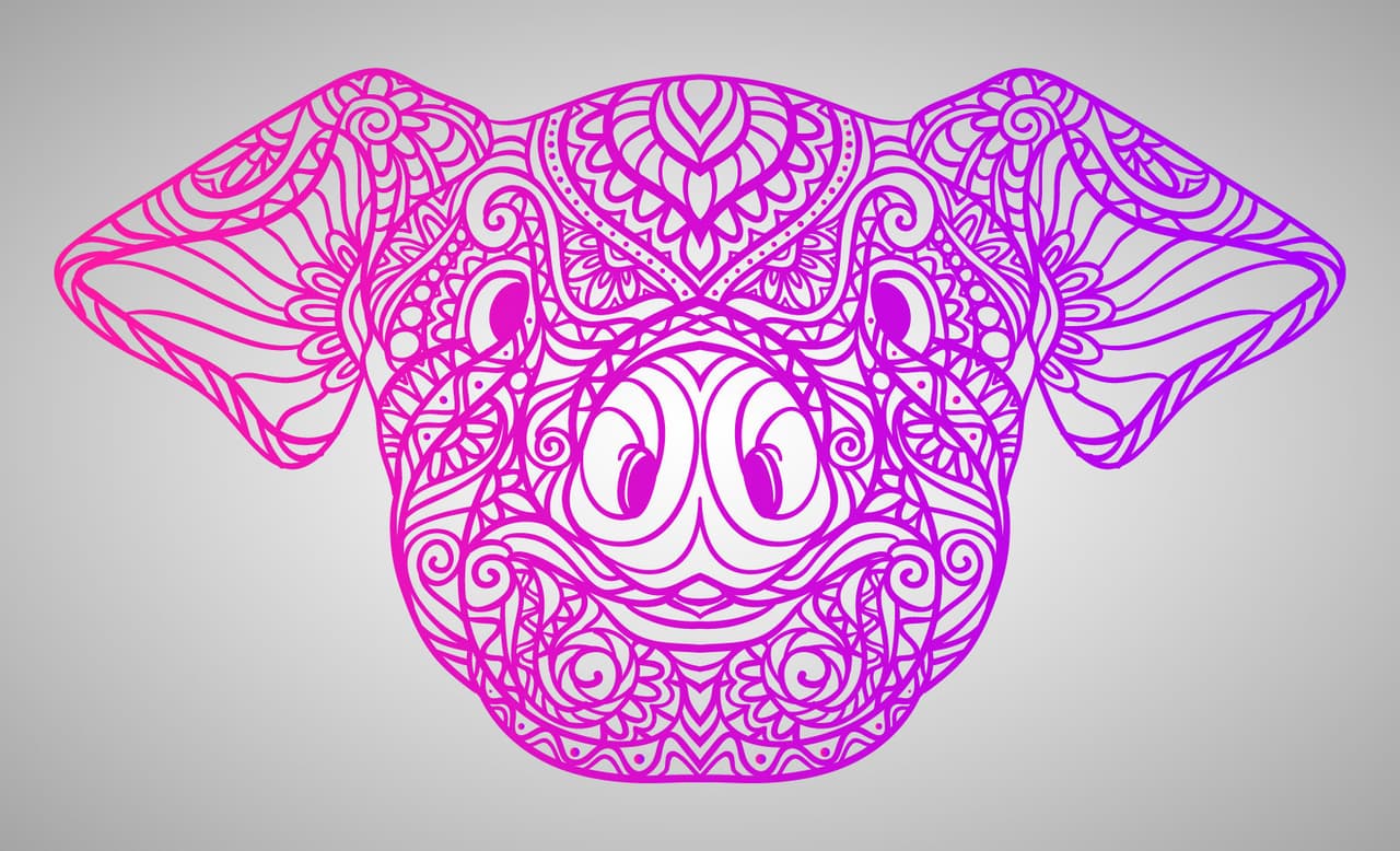 Llegó el mes del Jabalí, lleno de honestidad y sinceridad