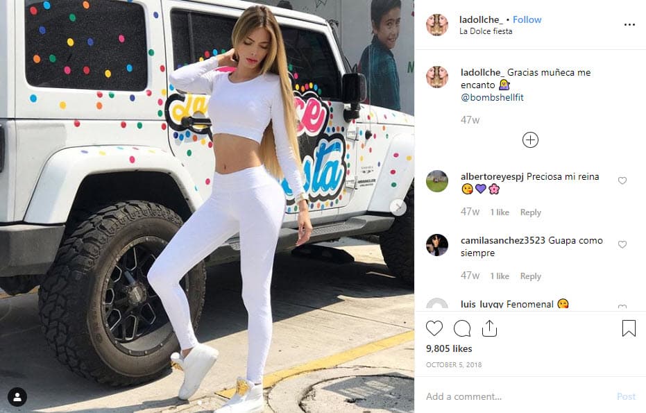 Sobre su faceta de empresaria, Cheyla es dueña de La Dollche Boutique, así como de La Dolce Fiesta, un negocio dedicado a la decoración de eventos. 
<br>