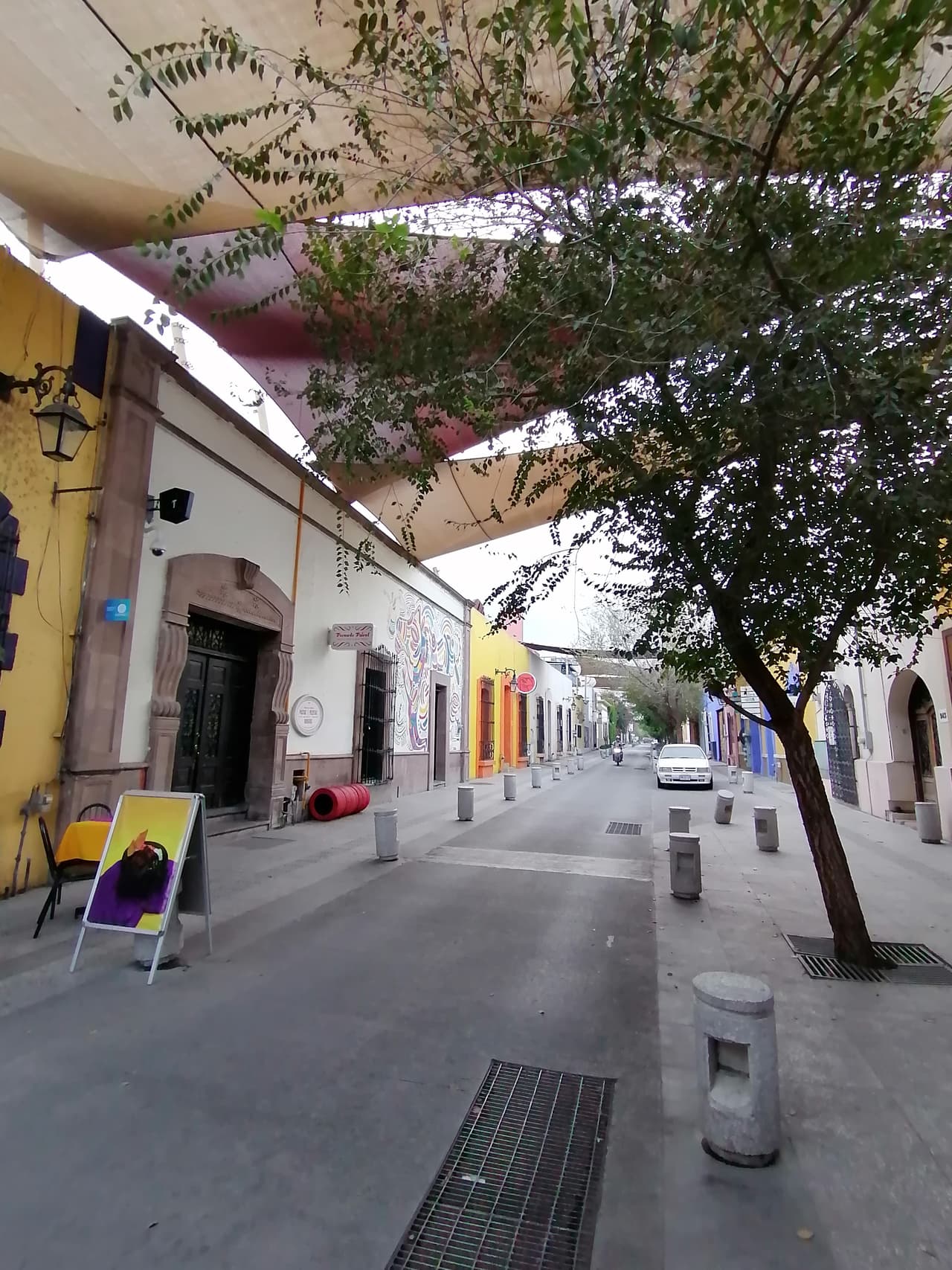 Incluidas las mismas dependencias federales, todos los niveles escolares y una parte de las empresas privadas, hasta el próximo 29 de abril.