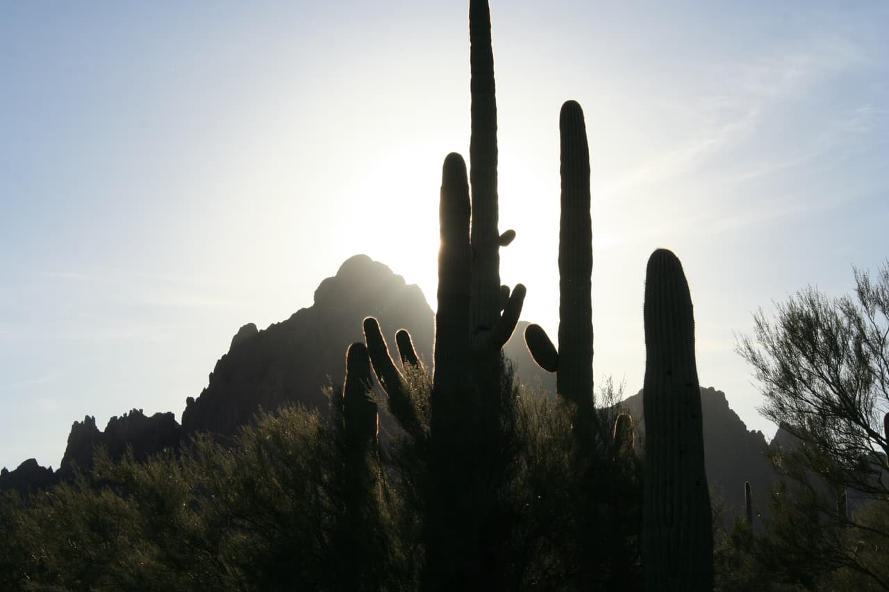 <b>Ironwood Forest, Arizona.</b> En lo profundo del desierto de Sonora en Arizona se encuentran las aproximadamente 125.000 hectáreas del Monumento Nacional Ironwood Forest. Establecido por Bill Clinton, también alberga cientos de sitios arqueológicos esparcidos a través del paisaje árido.
<br>