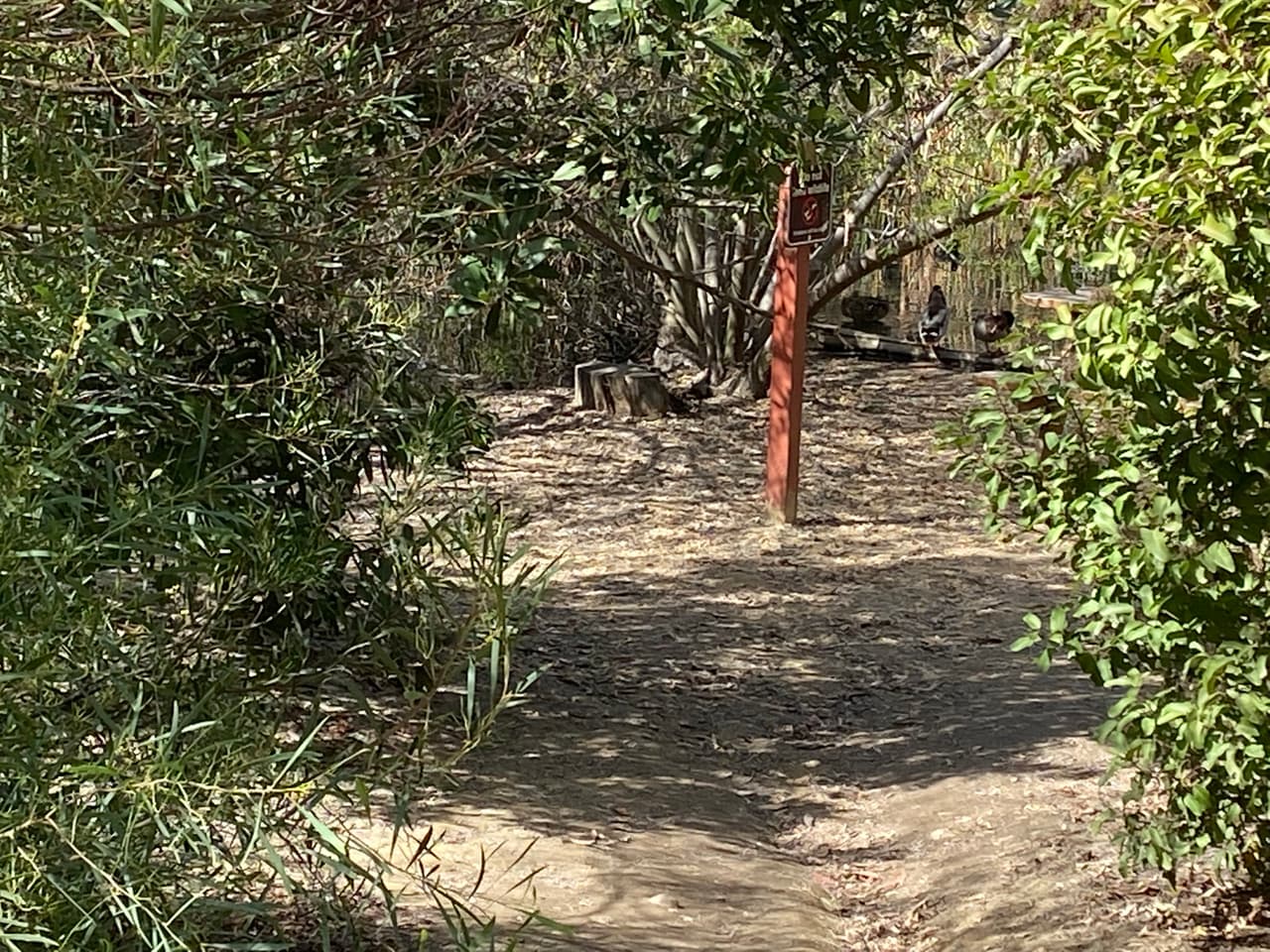 Debes pasar la zona residencial y tener cuidado, porque la calle es estrecha y de dos sentidos. Además, durante los fines de semana, también se comparte con excursionistas y ciclistas.
