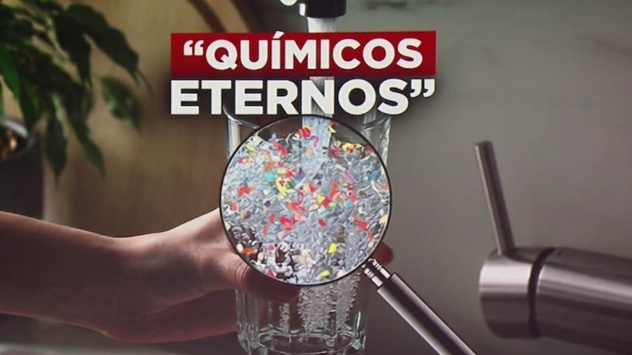 ¿Qué son los químicos eternos, cómo dañan el cuerpo y dónde se encuentran?