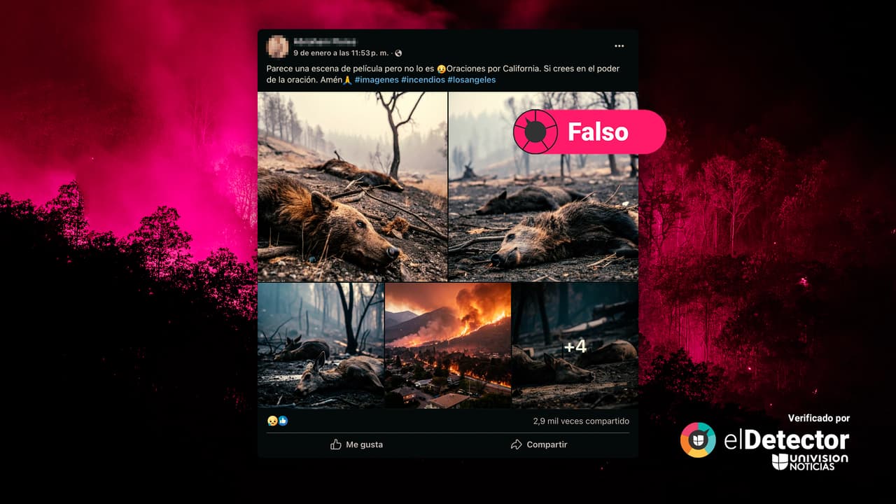 Esas fotografías de animales silvestres muertos en un bosque quemado NO son reales: fueron creadas digitalmente