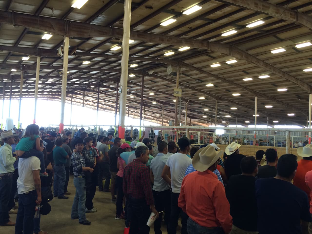 Univision convivió con la comunidad desde el Travis County Expo Center para celebrar las Fiestas Patrias.