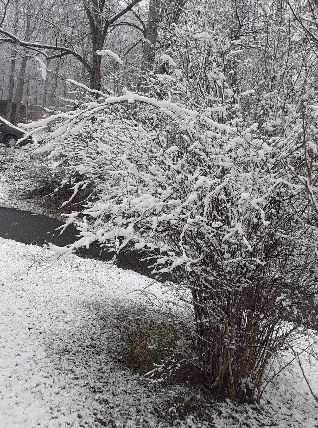 Asheville, N.C. - Las nevadas de este jueves impactaron significativamente las carreteras el viernes en la mañana.
