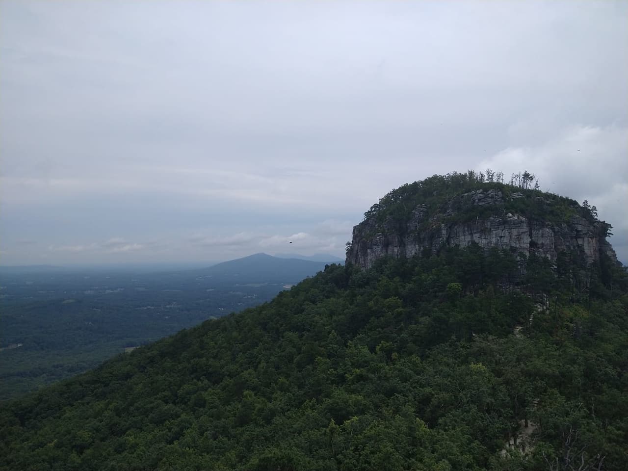 <b>Pilot Mountain</b>: Pilot Mountain es un punto de interés clásico y uno de los últimos vestigios de la antigua cadena montañosa Sauratown. La vegetación única cerca del pomo y las actividades como el senderismo y la escalada atraen a los turistas a su belleza durante todo el año.