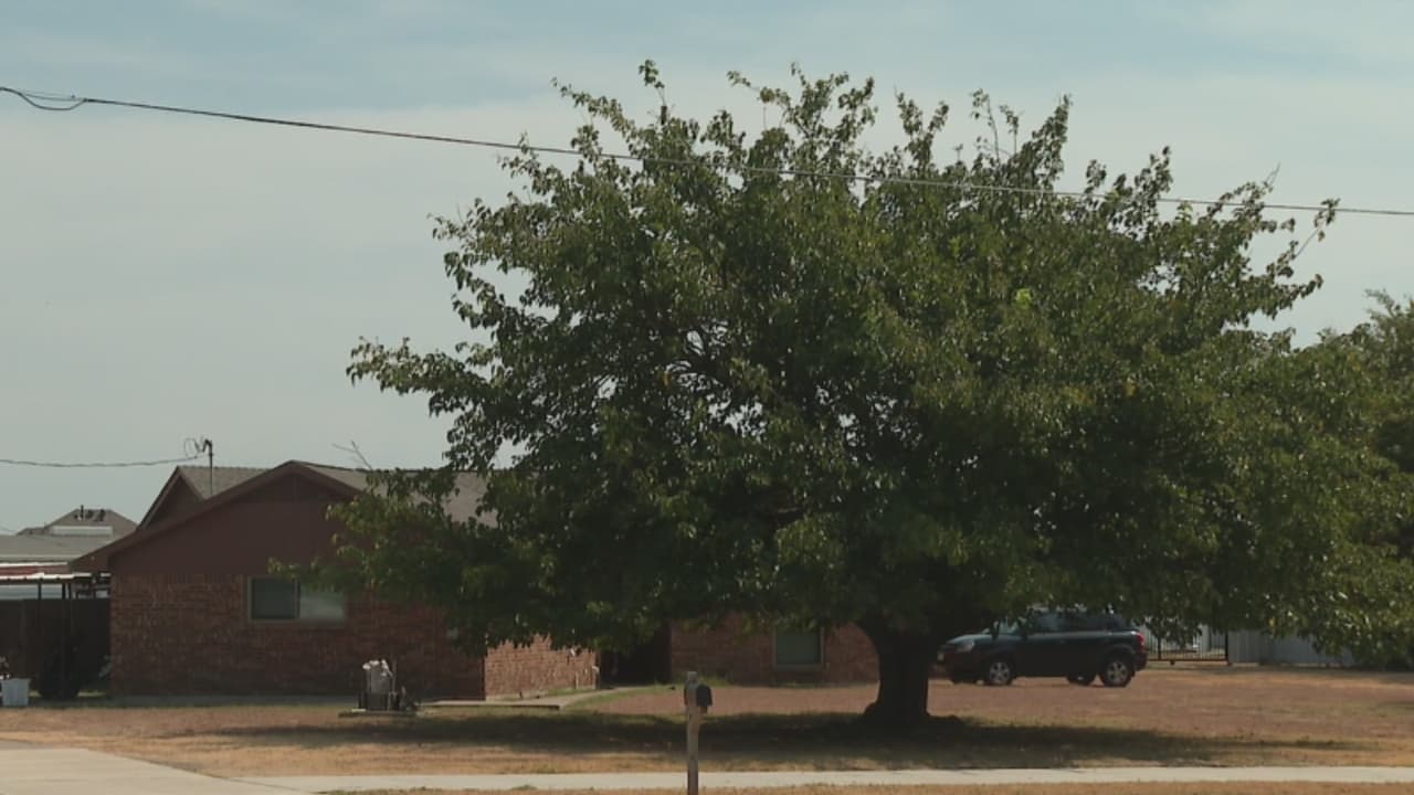 Un Joven es señalado de matar a balazos a su padre tras una pelea en Fort Worth: esto se sabe