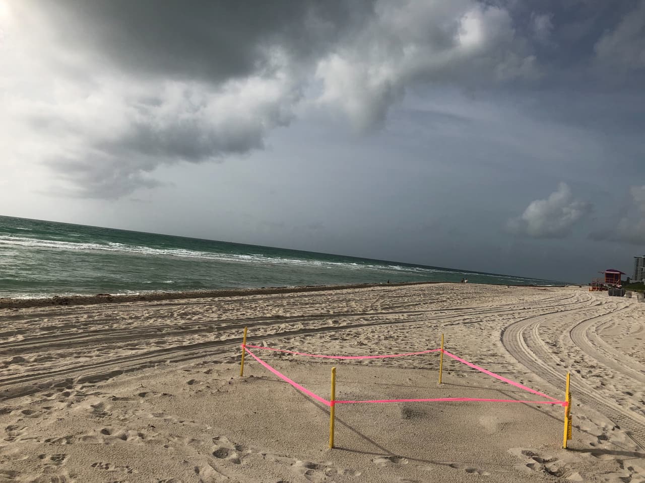 Comienza la temporada de 
<a href="https://www.univision.com/local/tampa-wvea/temporada-de-anidacion-de-tortugas-marinas-que-hacer-para-cuidarlas " target="_blank">anidación de tortugas marinas</a> en Florida y debes tener cuidado de no dañar sus nidos.