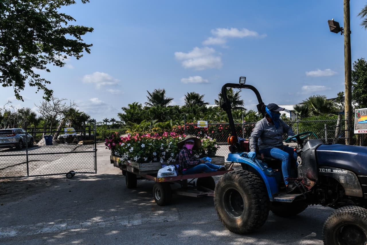 González asegura que además, lo que ocurre en el campo va a afectar al consumidor, pues “nadie va a buscar trabajo” allá. “Esto es un trabajo muy pesado y no va a haber mano de obra”.