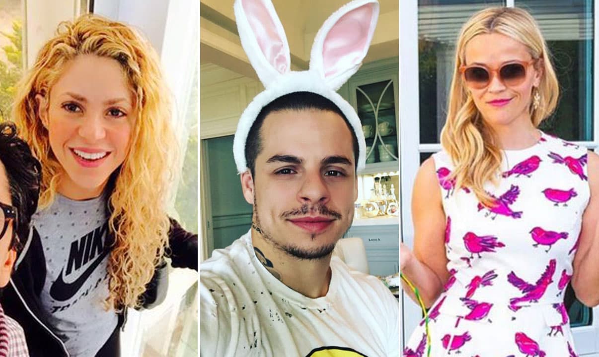 Conviviendo en familia, de vacaciones o buscando huevos, ¡hacen de todo!