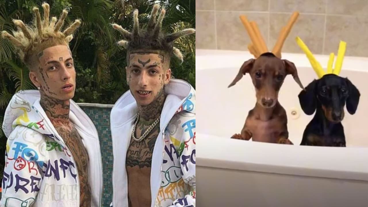 Island Boys: los gemelos latinos que 'la rompieron' en TikTok con rimas y peinados raros 