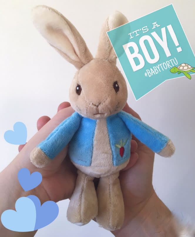 Con esta imagen el 21 de marzo dio a conocer la noticia en las redes sociales: "Por fin les comparto la mejor noticia 😁 #babytortu viene en camino!! 😍".