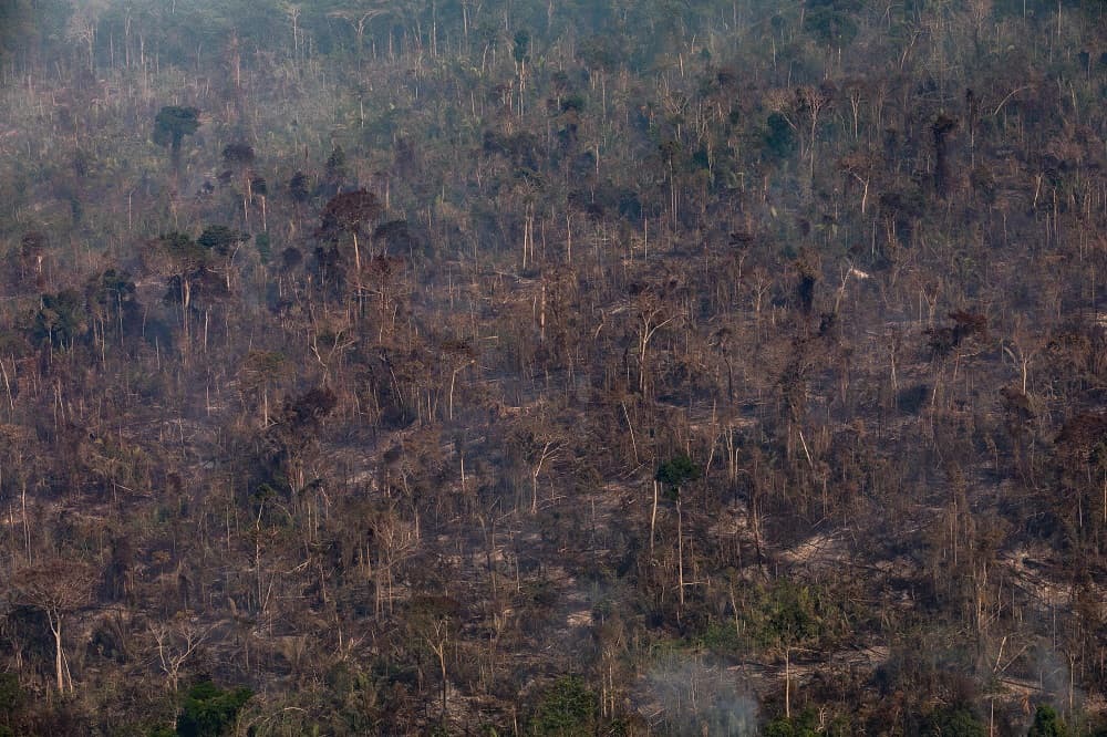 Después de que el Ministerio de Defensa detallara el sábado cómo será la actuación de unos 44,000 militares que están distribuidos en el vasto territorio amazónico, el Gobierno brasileño liberó 38.5 millones de reales (unos 9.6 millones de dólares) a la cartera para la realización de las operaciones. La fotografía muestra cómo han quedado parte de la selva en Porto Velho.