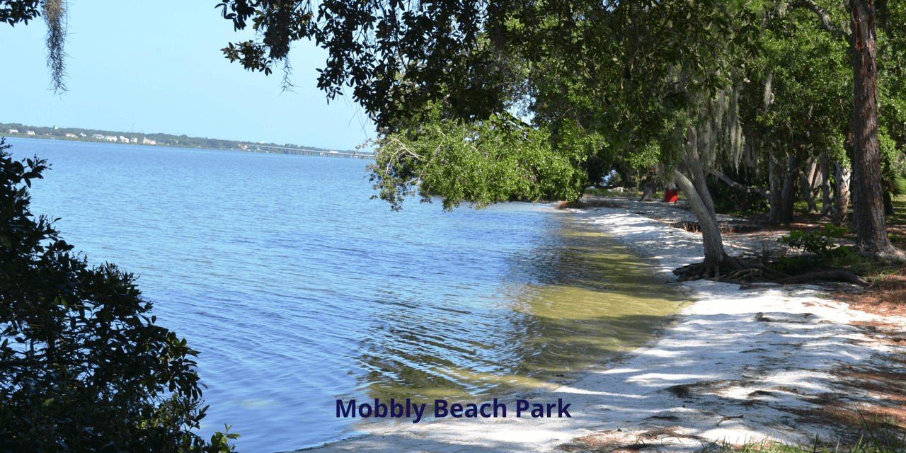 Aquí se puede encontrar
<b>comida tradicional griega</b> y muchas de las tiendas originales de los muelles de esponja permanecen hoy.