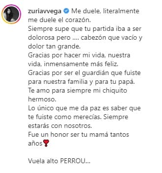 "Te amo para siempre mi chiquito hermoso. Lo único que me da paz es saber que te fuiste como merecías. Siempre estarás con nosotros.
<b>Fue un honor ser tu mamá tantos años</b>", señaló Vega.