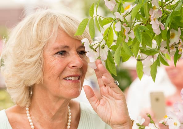 Y así, en un entorno muy romántico continuó su paseo.