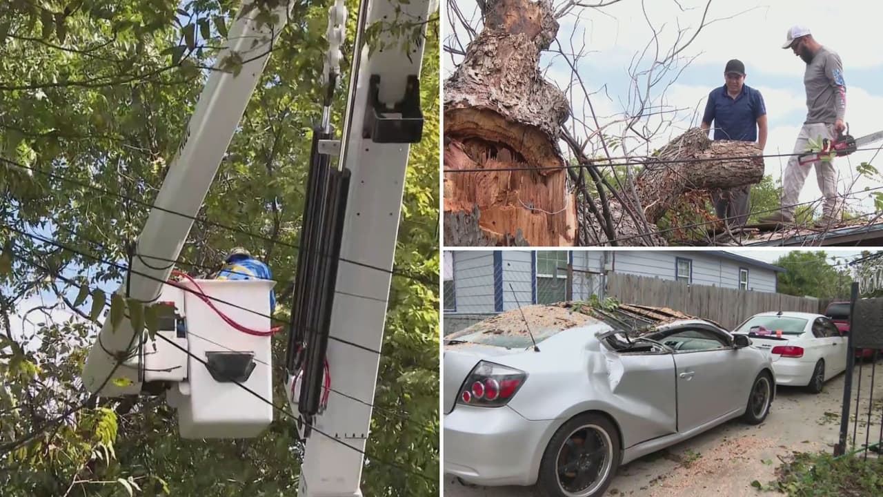 Apagones, árboles caídos y autos afectados: los daños que dejaron las tormentas en Fort Worth