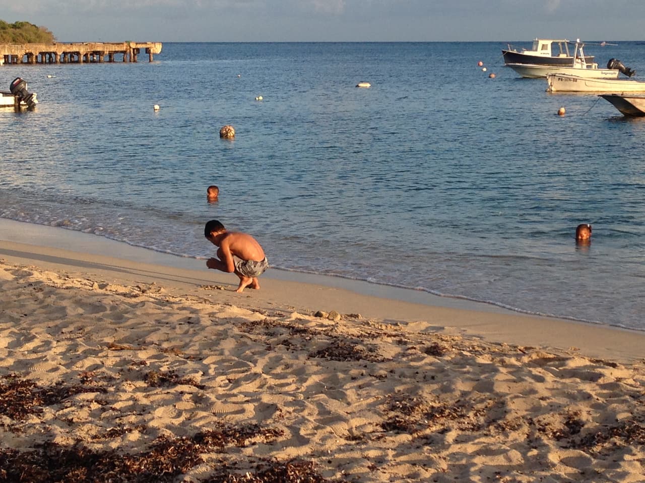 Denuncian incumplimiento con la limpieza de Vieques