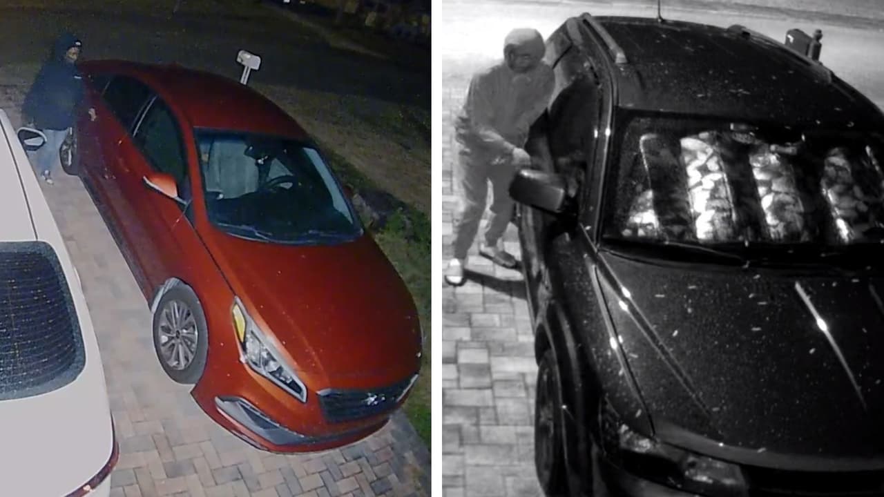 Buscan a sospechosos de robar más de 30 autos en el condado Pasco