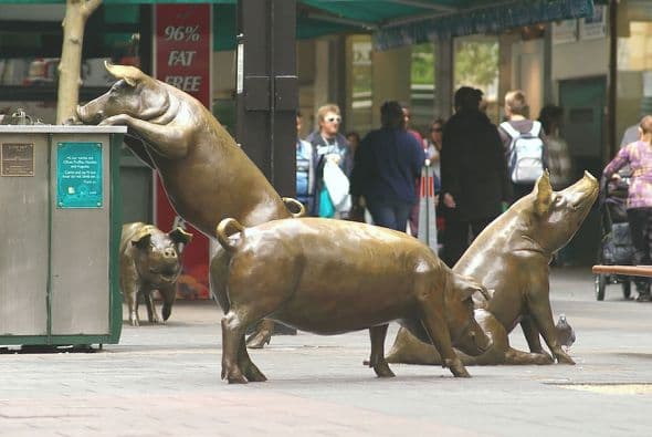 Los cerdos de Rundle Mall, Adelaide (Australia) 