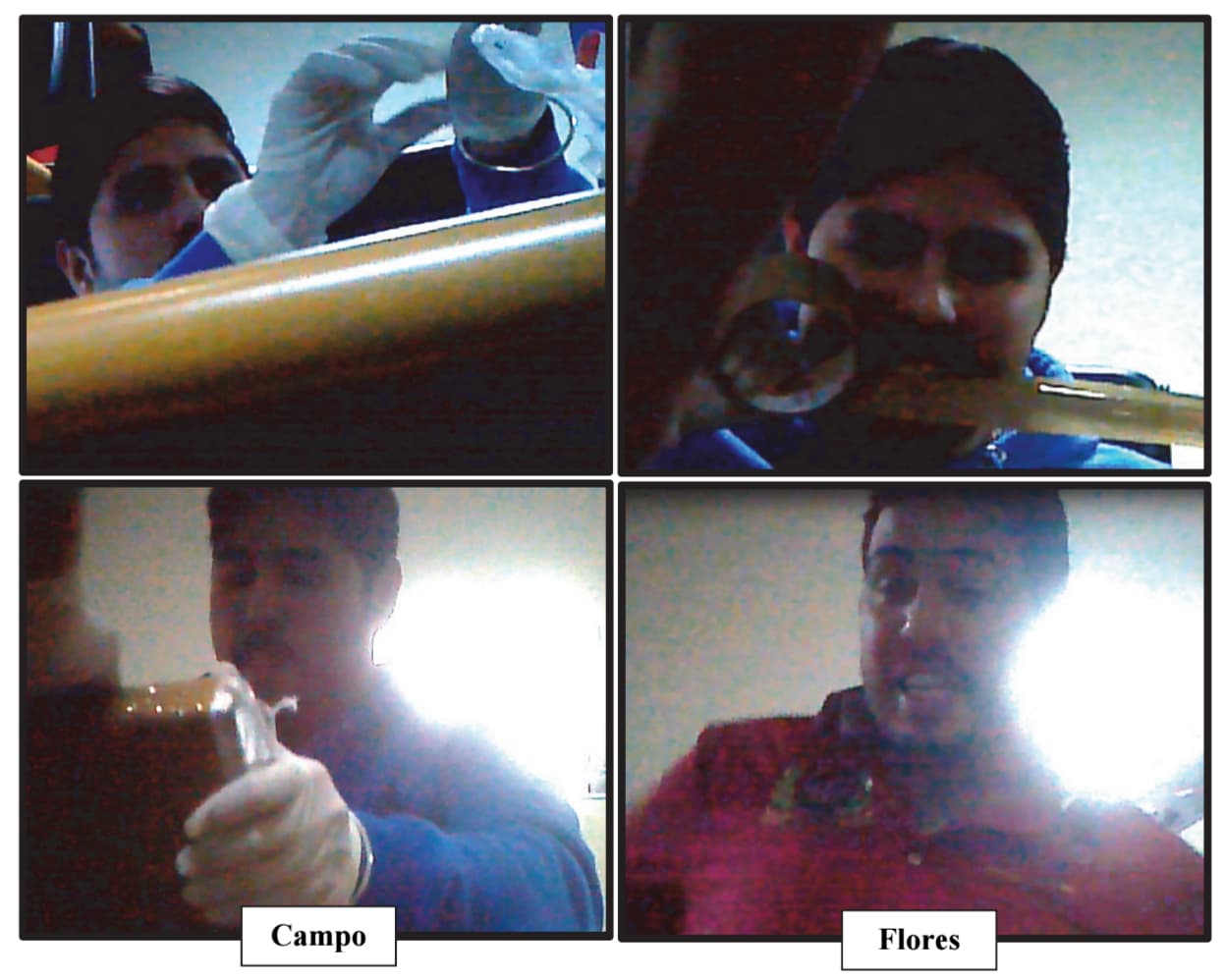 En una de las reuniones en Caracas los sobrinos presidenciales llevaron lo que denominaron "el Kilo"