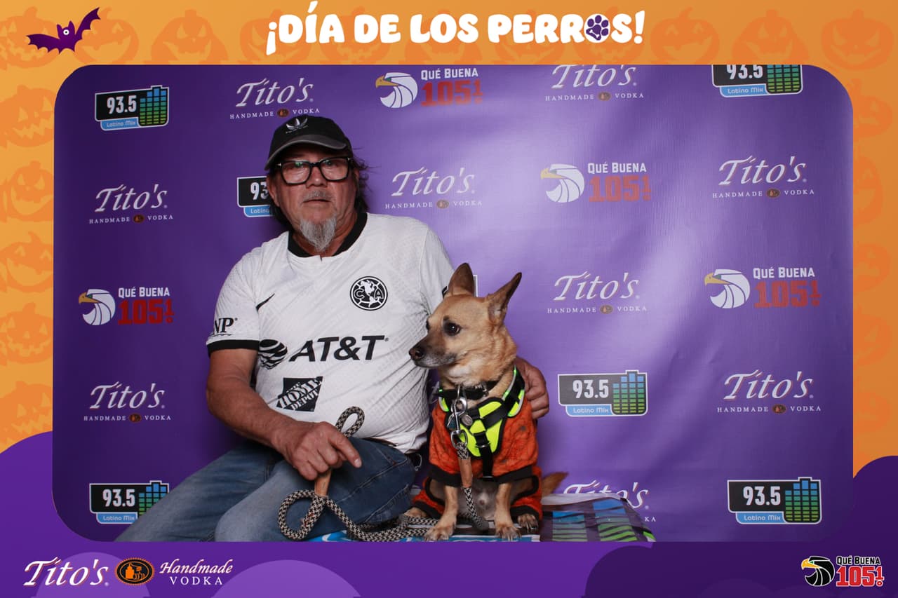 Cual fue tu favorito?