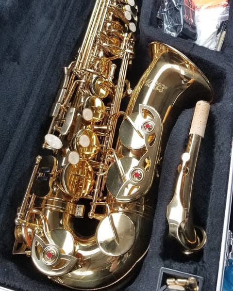 Para su proceso de sanación ha decidido refugiarte en otra de sus pasiones: "La música siempre me ha cautivado, la música es mágica, un medio para expresar tantas cosas, para canalizar sentimientos, distraer la mente y relajar el cuerpo. Hace tiempo contemplaba dar el salto de cuerdas a viento inspirada por el sax, pero no lo había hecho hasta hoy. Sin dejar de amar el cuatro y violín. Finalmente me voy a dar esa oportunidad y sé que también me ayudará en todo este proceso, pues hasta con el viento voy a adorar".