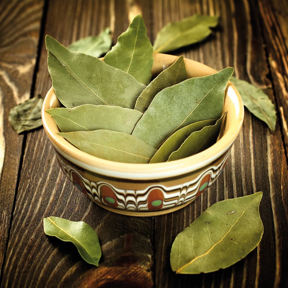 Delia Novello recomienda hervir hojas de laurel y rocial el agua en donde vean que están saliendo las hormigas.