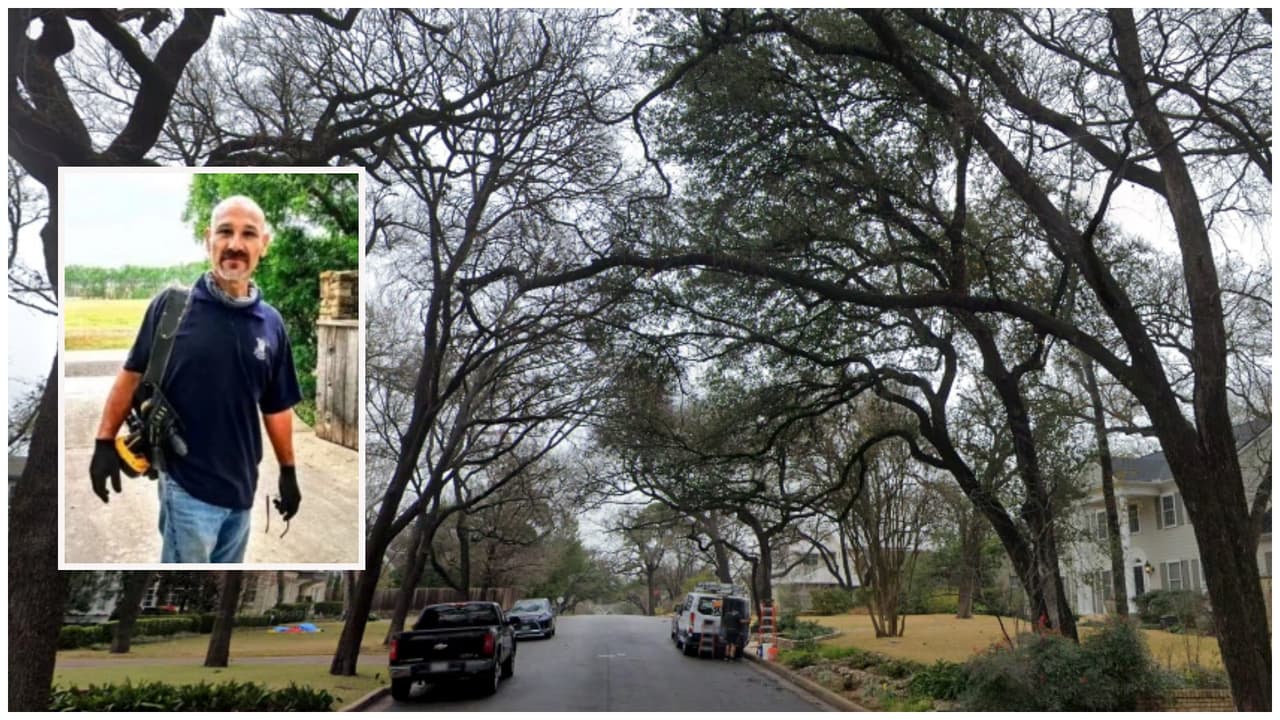 Hispano muere atacado por enjambre de abejas mientras colgaba de un árbol con un arnés