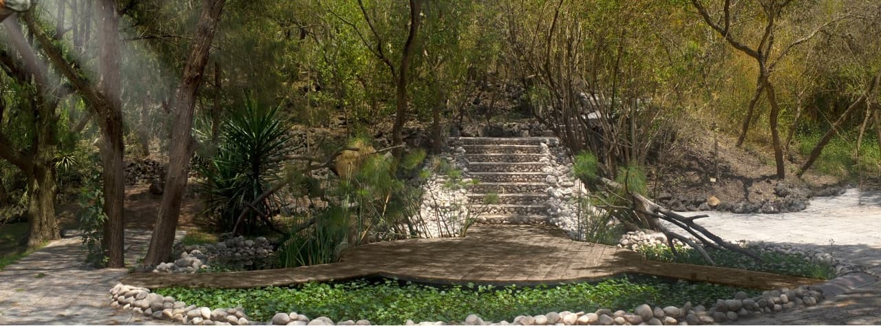 El jardín se encuentra en el centro del Safari, rodeado de un lago, que es iluminado si la boda es de noche.