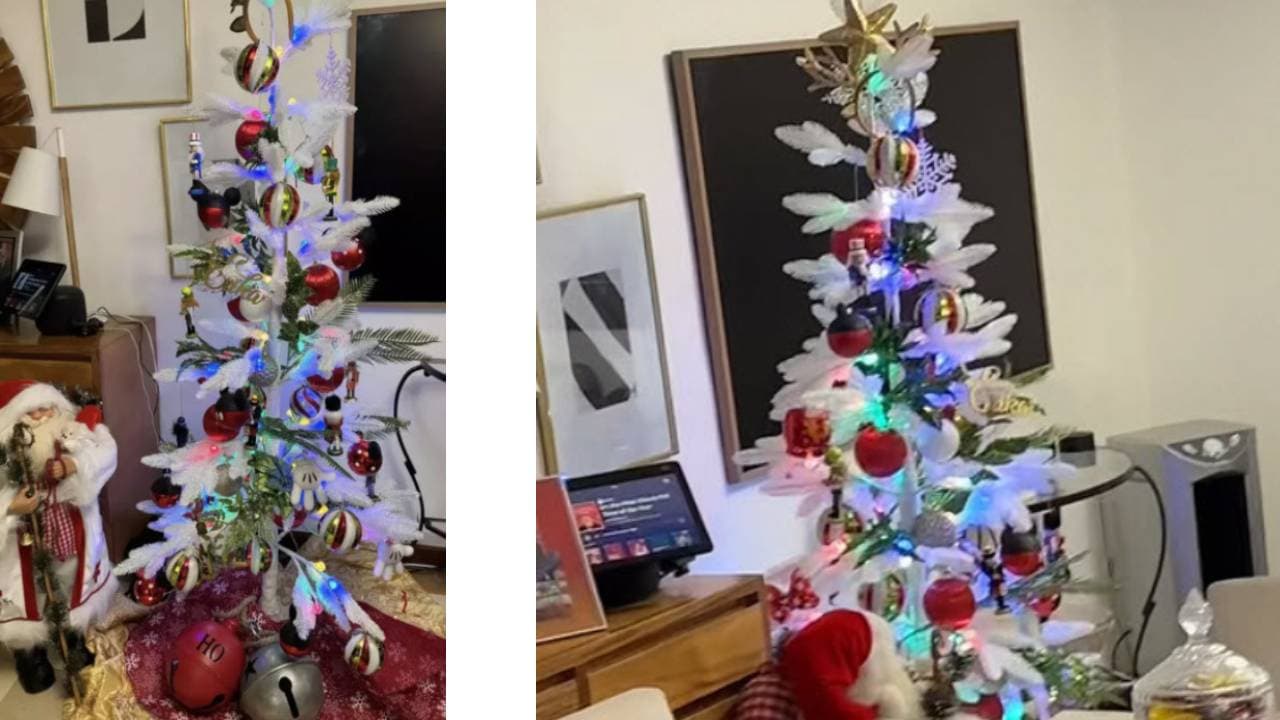 El árbol de Navidad "moderno" de Erika Buenfil.