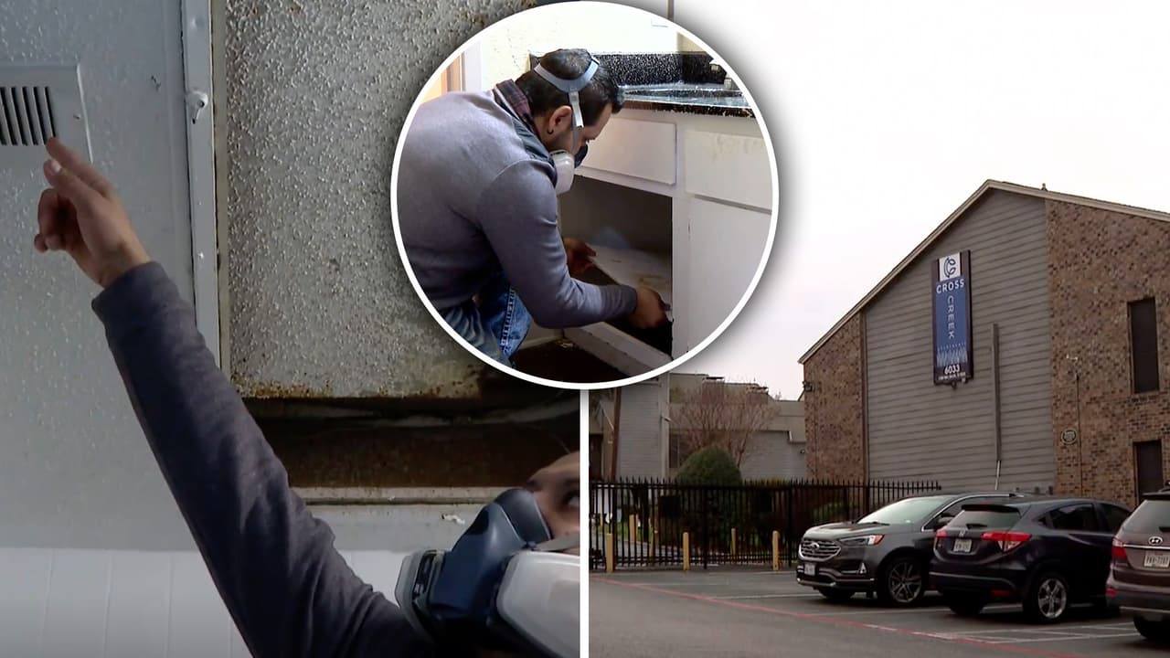 "Está todo contaminado": inquilino reporta enfermedades respiratorias por moho en su apartamento 