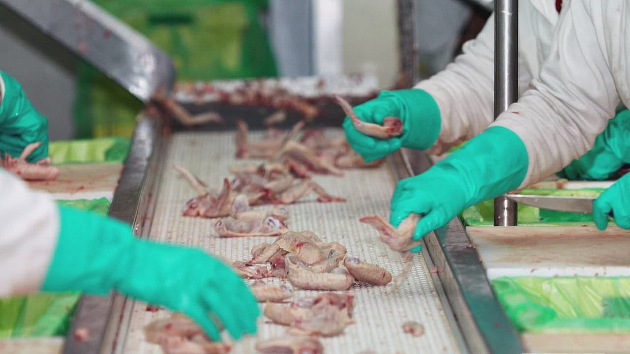 Esto es lo que ganan las polleras que operan en Georgia y las multas que enfrentan