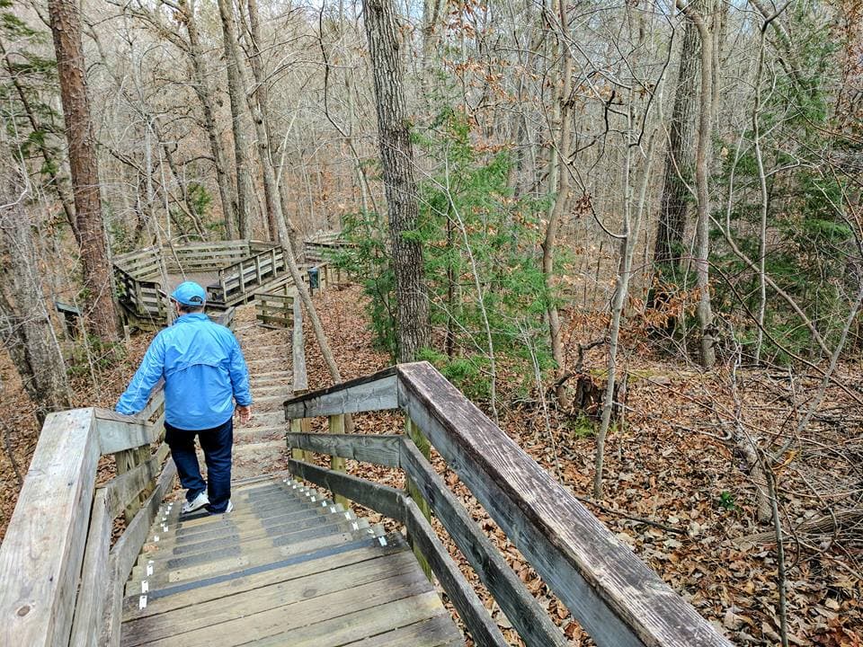 <b>Hemlock Bluffs Nature Preserve (Cary)</b>
<br>
<b>Sitio web</b>: 
<a href="https://www.carync.gov/recreation-enjoyment/parks-greenways-environment/parks/stevens-nature-center-at-hemlock-bluffs-nature-preserve/trails-at-hemlock-bluffs">https://www.carync.gov/recreation-enjoyment/parks-greenways-environment/parks/stevens-nature-center-at-hemlock-bluffs-nature-preserve/trails-at-hemlock-bluffs</a> 
<br>
<a href="https://maps.app.goo.gl/oS8v2cBNw1DFVPgp6"><b>Cómo llegar </b></a>
<br>
<br>La Reserva Natural Hemlock Bluffs ofrece una manera fácil y familiar de escapar al aire libre en Cary. El parque de 140 acres, establecido hace 40 años y llamado así por el grupo atípico de casi 200 árboles de cicuta oriental que se pueden encontrar aquí, se destaca por aproximadamente tres millas de senderos para caminatas y caminatas cubiertos de mantillo que conducen a una serie de pequeños miradores.