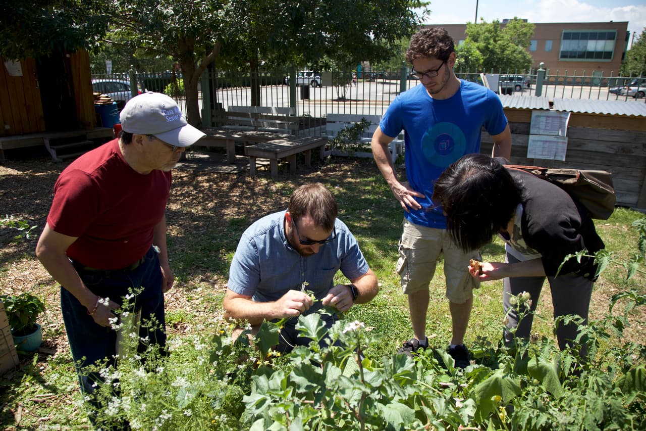 El área donde se encuentra este vibrante jardín comunitario llamado "El paseo" alguna vez fue un terreno abandonado al oeste de Chicago. Sin embargo, hoy en día es un lugar donde personas de todas las edades conviven, aprenden y cosechan sus propios alimentos.