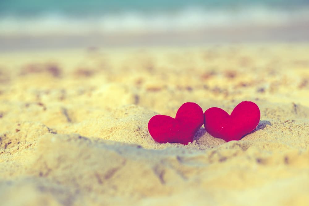 <b>Amor - </b>
<br>El amor debe vivirse cada día y hoy es uno de esos. Si algo no te sale bien en este día tómalo deportivamente y pon a funcionar tu sentido del humor capricorniano.