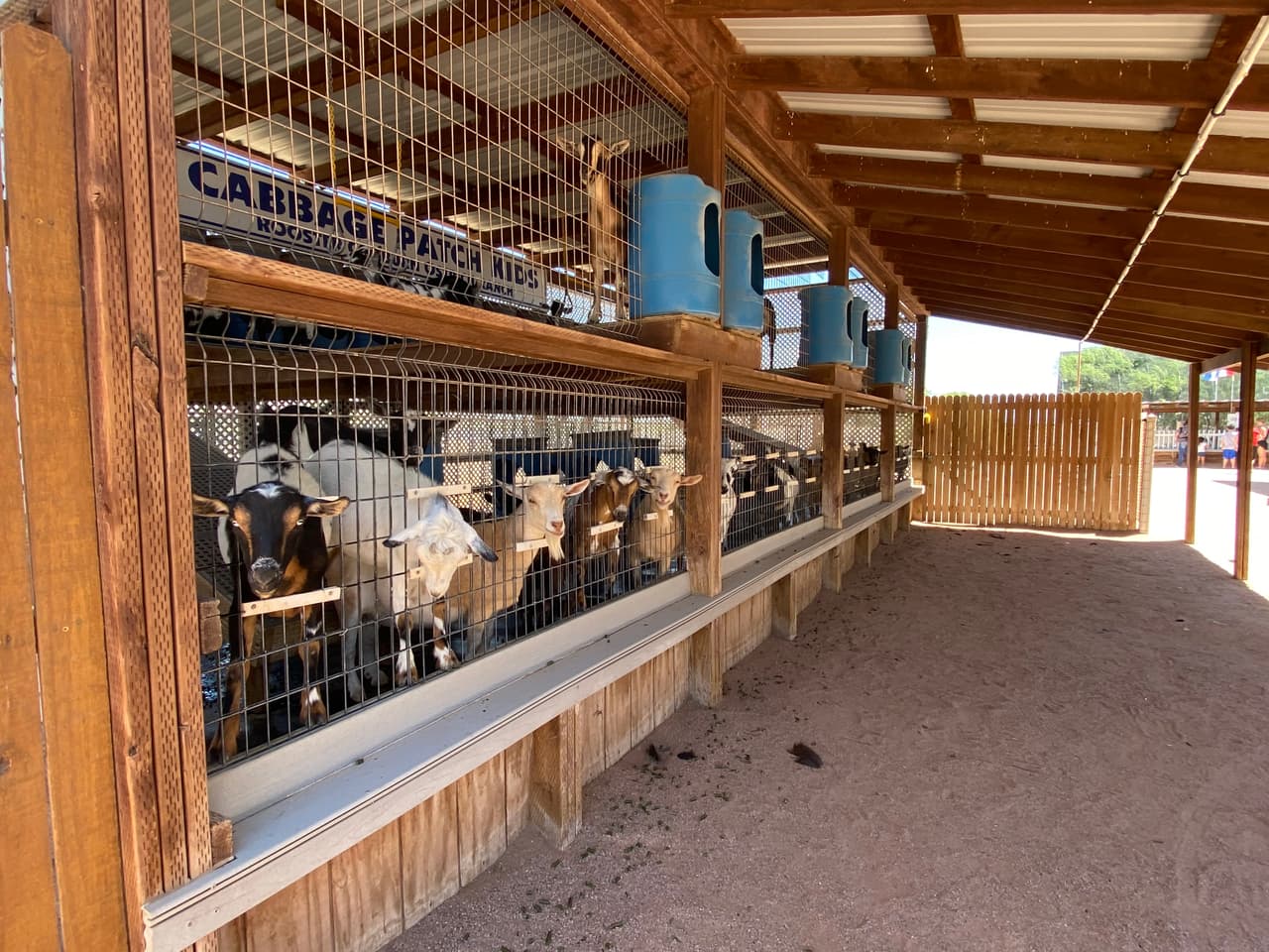 Granja The Rooster Cogburn en Oro Valley, Arizona.