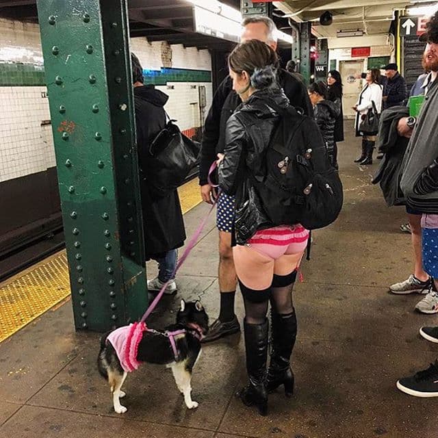 Miles de personas alrededor del mundo celebraron ayer el Día Sin Pantalones. ¿El reto? Montarse al metro sin pantalones.
