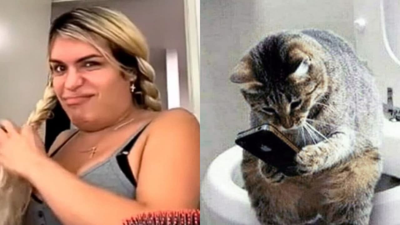 Estar en el celular por horas sin que nadie les diga nada.
<br>