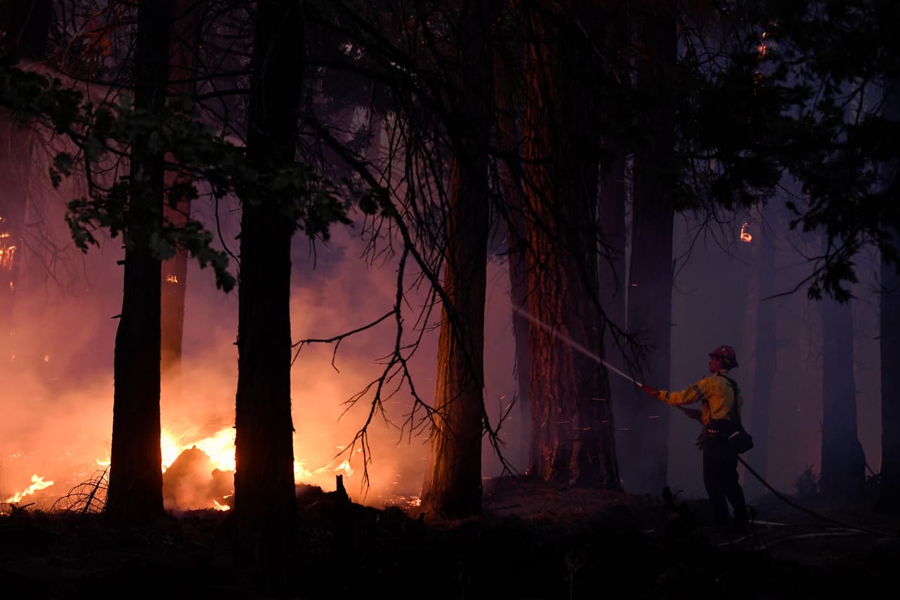 Además, la disminución de la actividad humana permitirá que se
<b> reduzca “la posibilidad de que se inicien nuevos incendios</b> en un momento de recursos de extinción de incendios extremadamente limitados”.