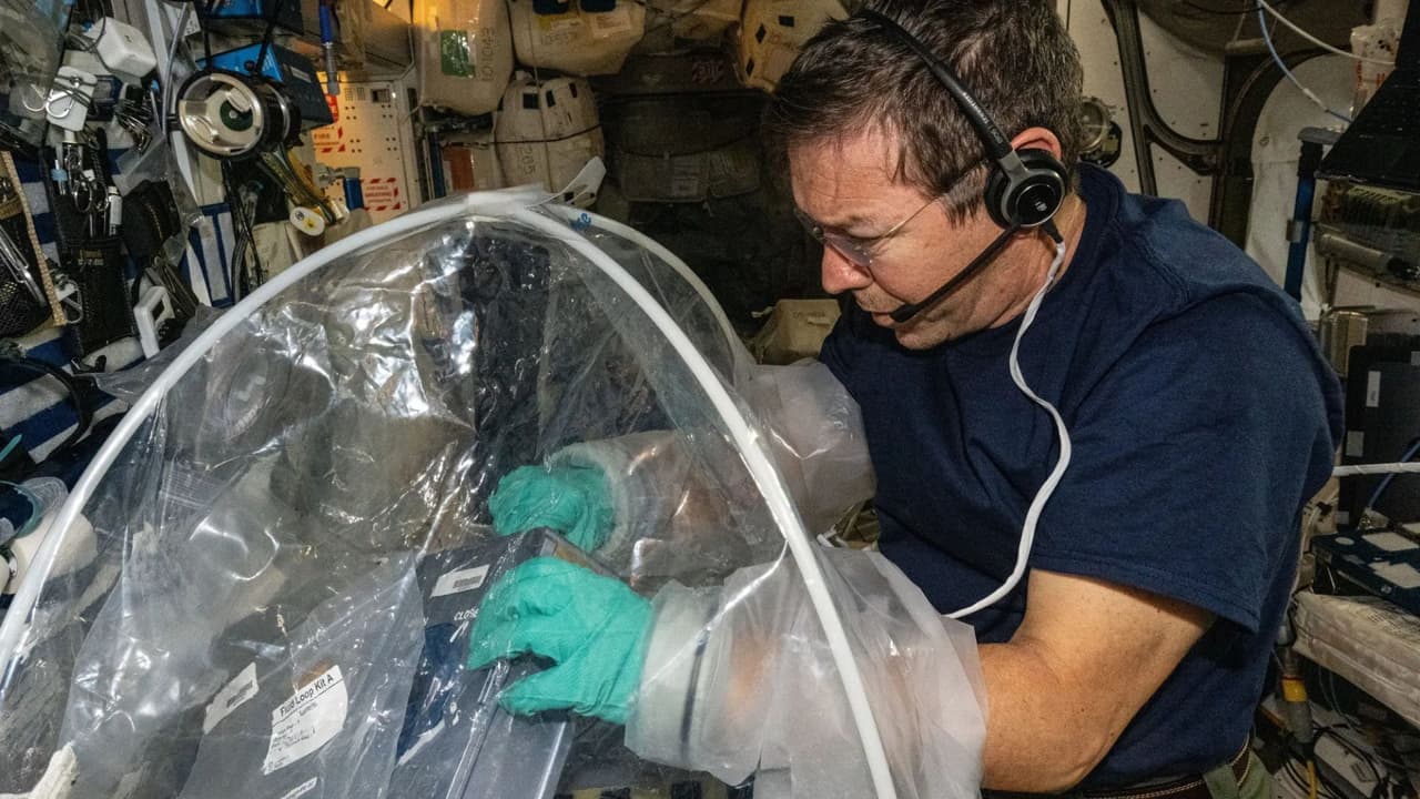 <b>Modelos de organoides cerebrales: </b>Se usaron organoides cerebrales para investigar la neuroinflamación y tratamientos de enfermedades neurodegenerativas como el Parkinson en condiciones de microgravedad.