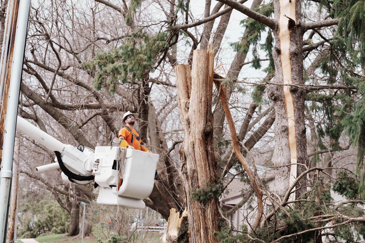 Más de 16,000 personas siguen sin electricidad tras dos días de fuertes tormentas en Wisconsin
